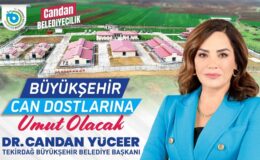 BÜYÜKŞEHİR CAN DOSTLARINA UMUT OLACAK