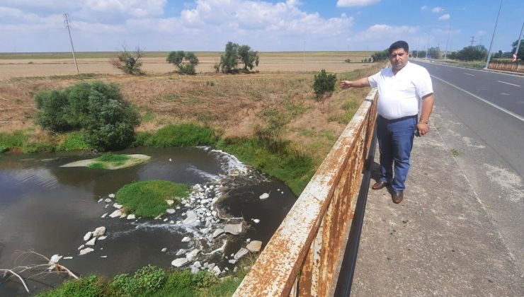 MUGİAD Başkanından Çevre Katillerine Tepki; “Daha Kaç Can Ölecek?”