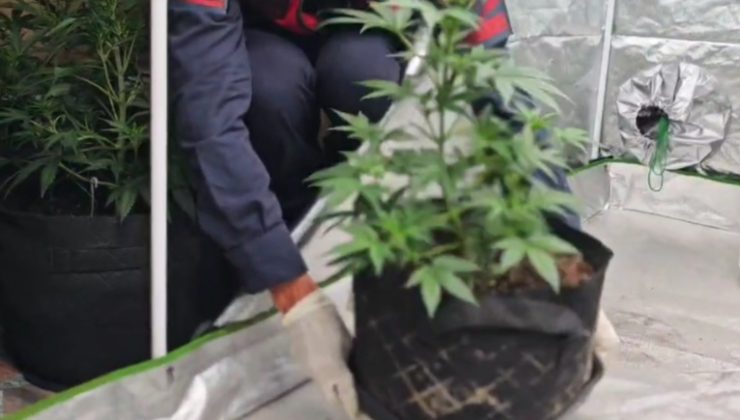 iklimlendirme Yöntemiyle Uyuşturucu Üretmişler