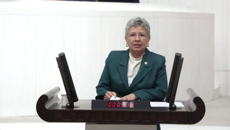 CHP Tekirdağ Milletvekili Nurten Yontar; ” Engelli İstihdamı Arttırılmalıdır”