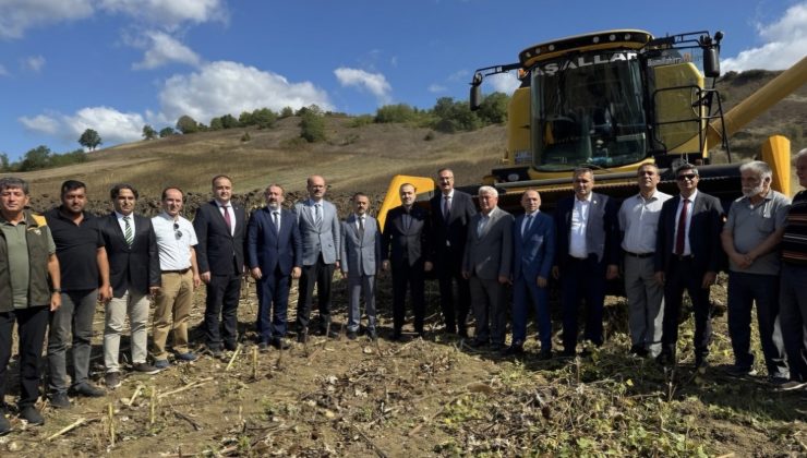 Yerli ve Milli Hibrit Ayçiçeği Tohumu Türkiye Genelinde Yaygınlaşıyor