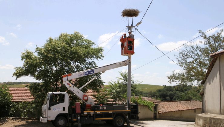 TREDAŞ, leyleklerin baharda güvenli dönüşü için kolları sıvadı