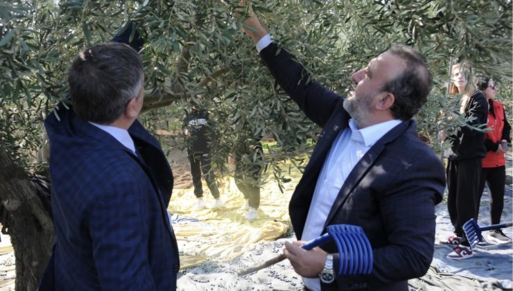 Şarköy Hasat Etkinliği Şenlik Havasında Gerçekleşti.