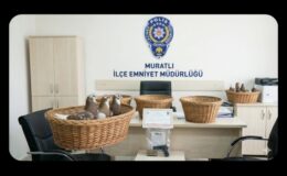 Muratlı’da Taklacı Güvercin Hırsızlığı Aydınlatıldı