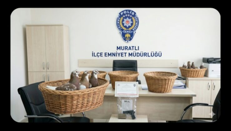 Muratlı’da Taklacı Güvercin Hırsızlığı Aydınlatıldı