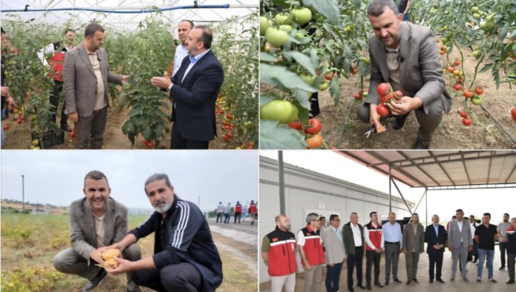 Süleymanpaşa Belediyesi Seralarında İlk Hasat Heyecanı Başladı